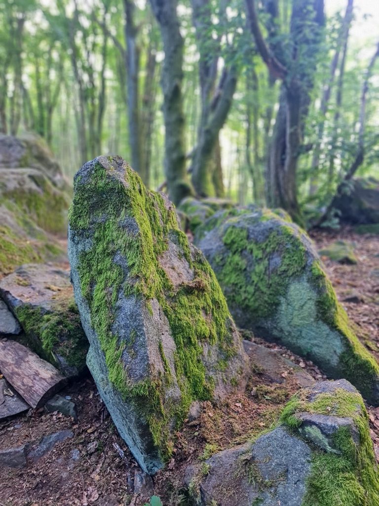 Magnetsteine wokół Ilbes Berg